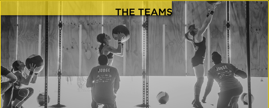 THETEAM